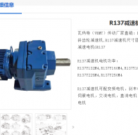 R137-80.91-D160L4-15KW-M1減速電機(jī)型號(hào)解析