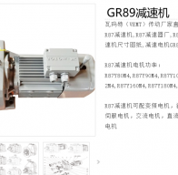 GR89-YE3/4-17.5-M1減速電機型號解析